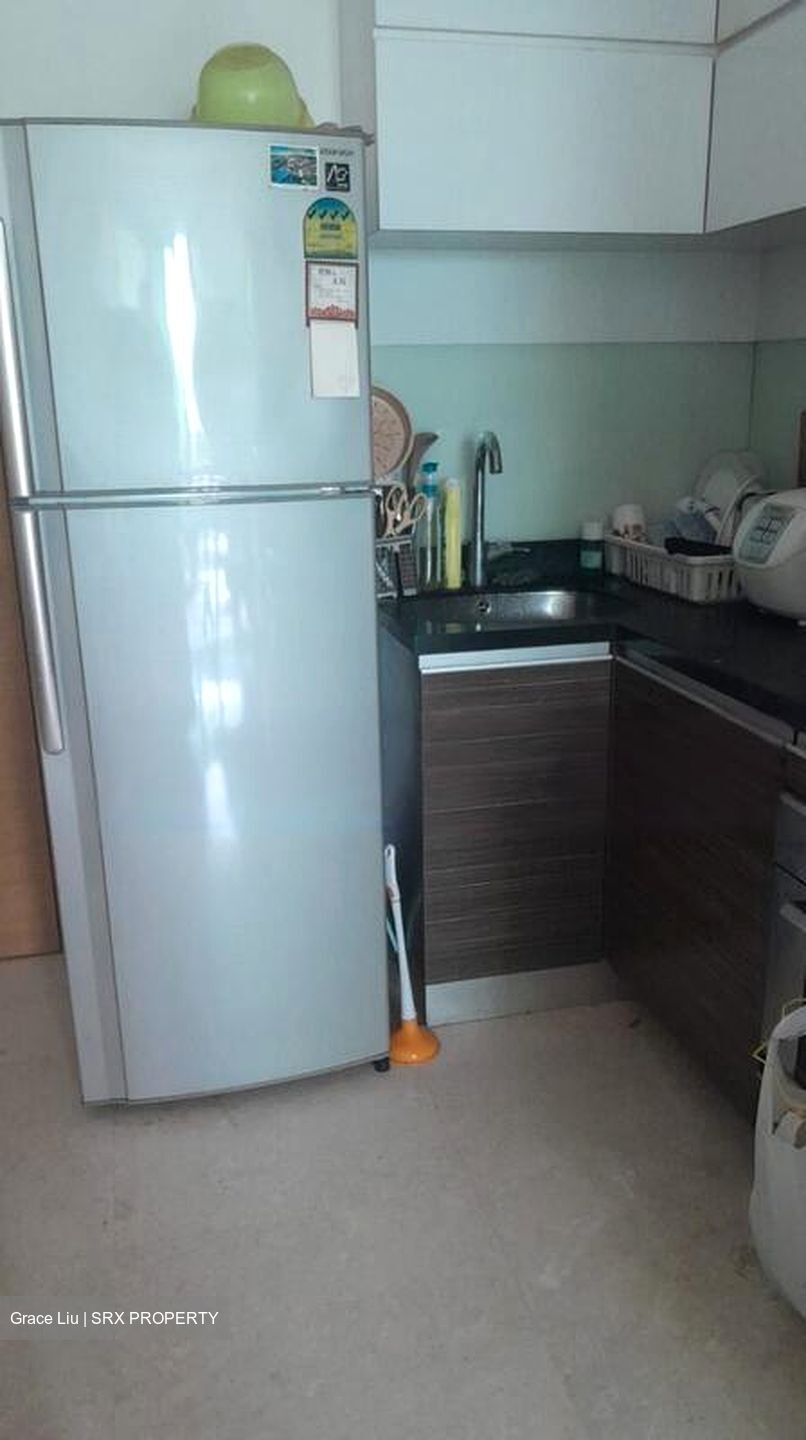 Stevens Suites (D10), Apartment #447893061